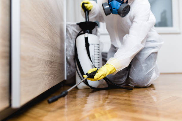 Best Cockroach Control Services  in Strawberry Plains, TN