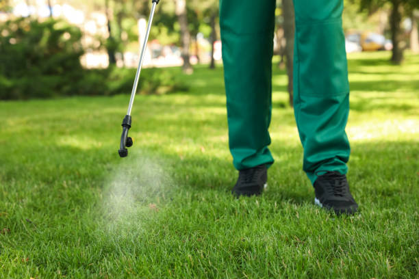 Best Pest Control Cost  in Strawberry Plains, TN