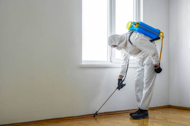 Best Exterminator Services  in Strawberry Plains, TN