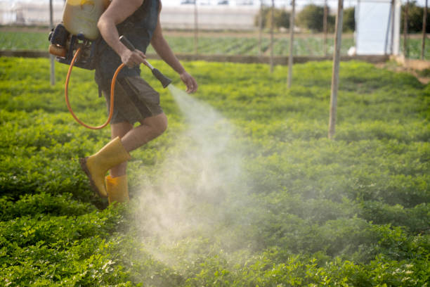 Best Pest Prevention Services  in Strawberry Plains, TN