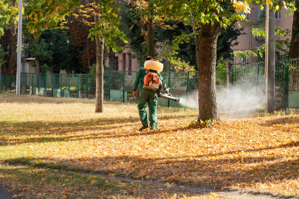Best Residential Pest Control  in Strawberry Plains, TN